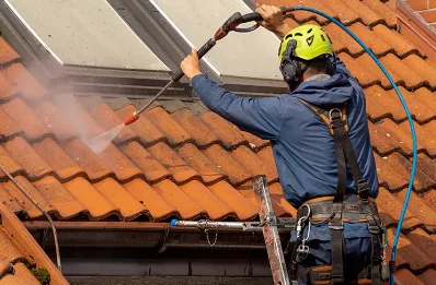 Démoussage et hydrofuge de toiture à Chénelette